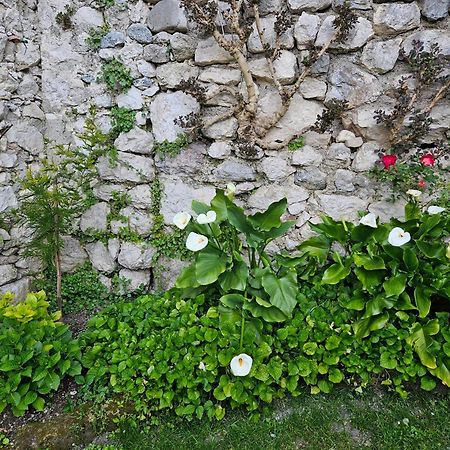 Gardainn Giardino 38A Riva del Garda Eksteriør bilde