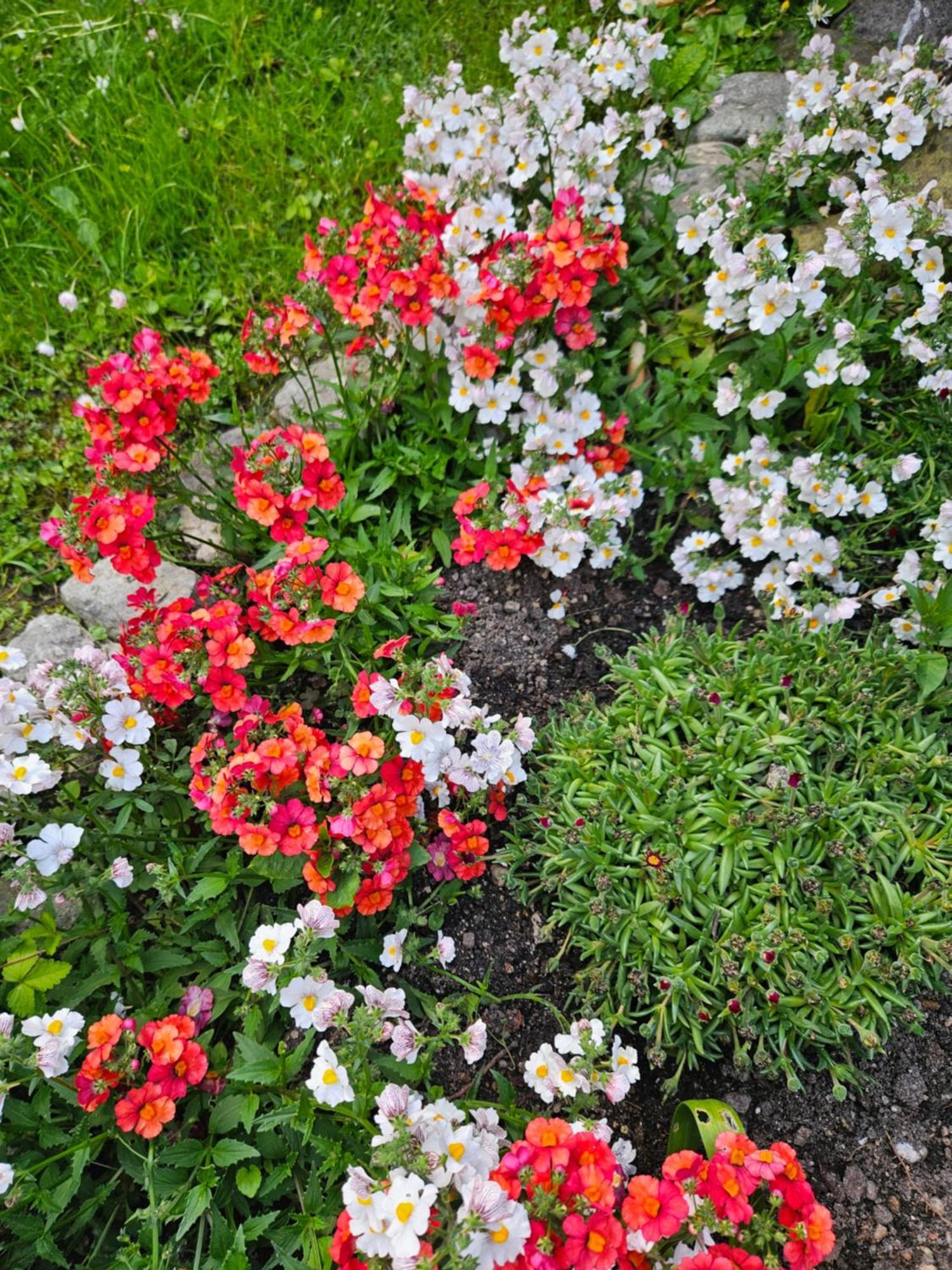 Gardainn Giardino 38A Riva del Garda Eksteriør bilde
